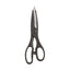 KitchenCraft 3-In-1 Kitchen Multi-Purpose Scissors 21cm With Bottle Opener Stainless Steel Blades - Black
