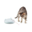 PetSafe FroliCat ZIP Automatic Cat Laser Light Toy Pets Interactive Playtime White