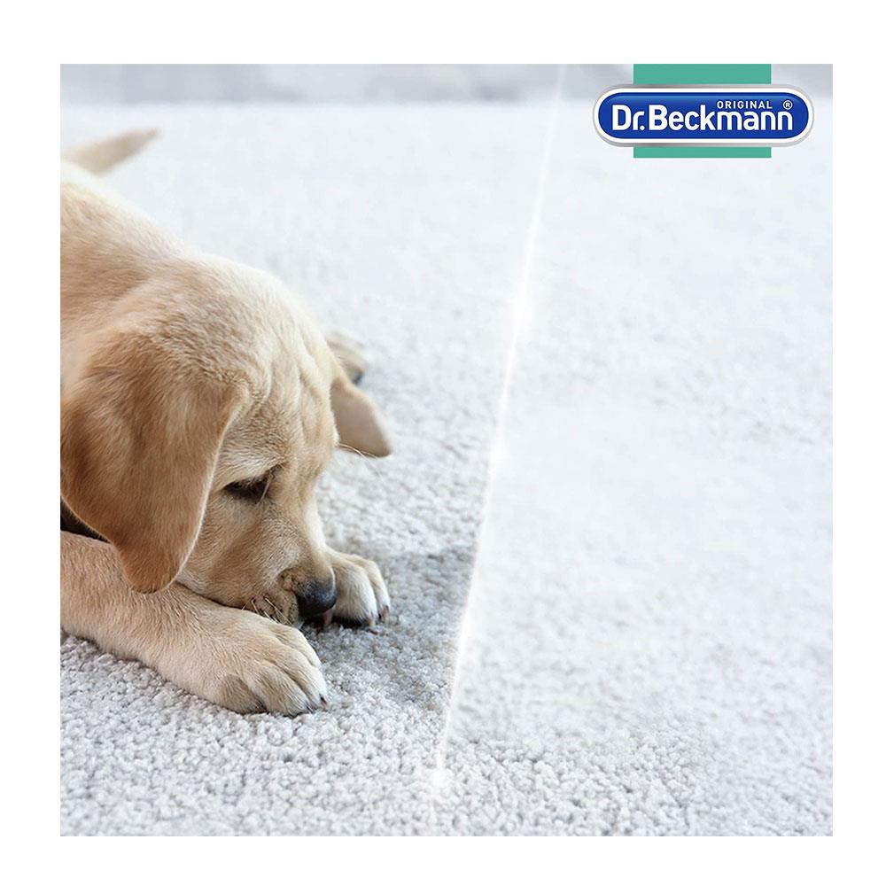 Dr Beckmann Pet Stain And Odour Remover with Brush 650ml