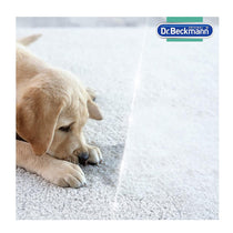 Dr Beckmann Pet Stain And Odour Remover with Brush 650ml