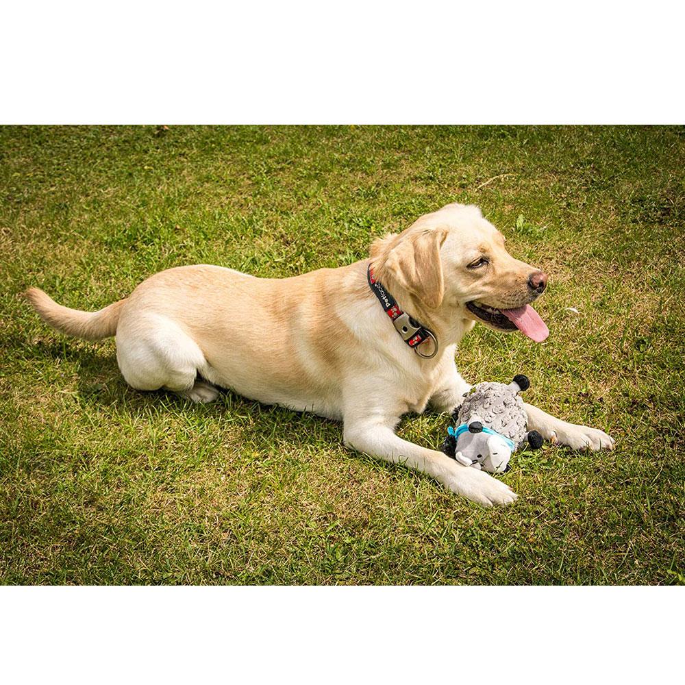 Petface Farmyard Buddies Dumpy Donkey Dog Toy