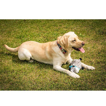 Petface Farmyard Buddies Dumpy Donkey Dog Toy