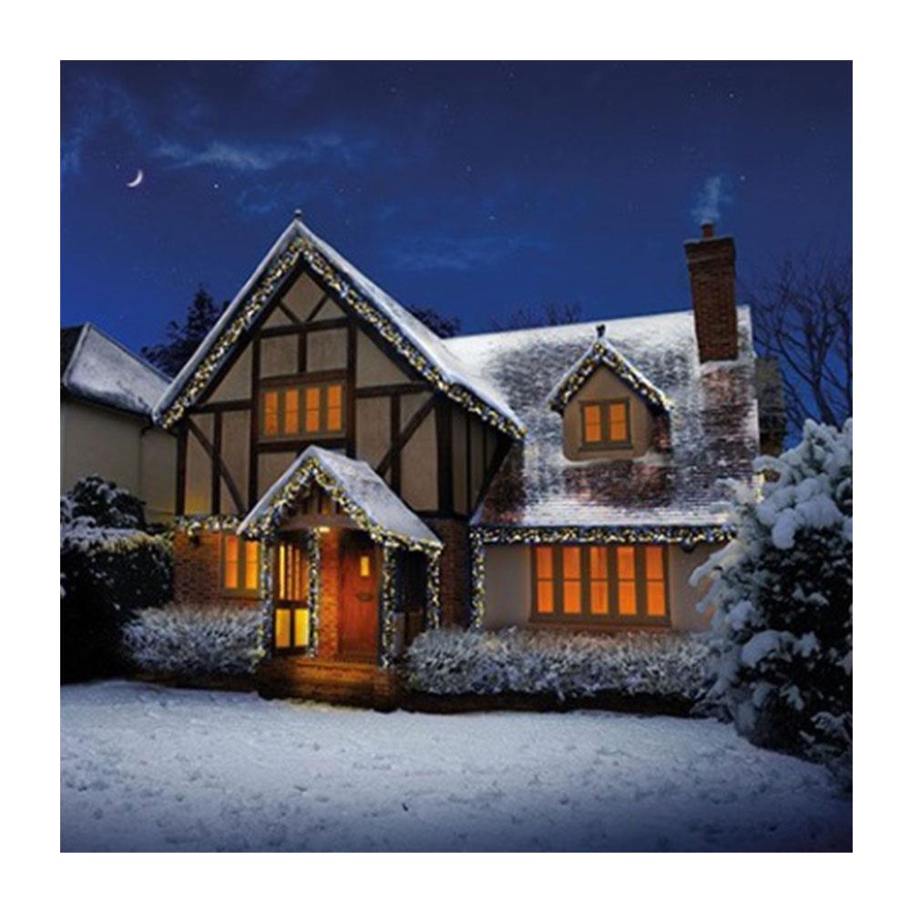 Premier Christmas 720 Multi Action LED Clusters Lights With Timer - White And Warm White Mix