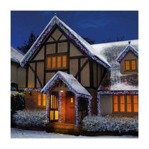 Premier Christmas 3000 Multi Action LED Clusters Lights With Timer - Multicolor