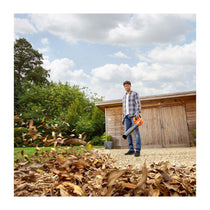 Black & Decker 18V Axial Leaf Blower With 2Ah Battery And Charger - Black