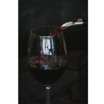 KitchenCraft BarCraft 2-In-1 Wine Pourer With Stopper Stainless Steel - Silver