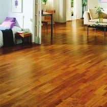 HG Floors Parquet Cleaner Product 54 - 1 Litres