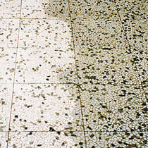 HG Patio-Tile Cleaner For Perfect Clean Terrace Tiles - 1 Litre