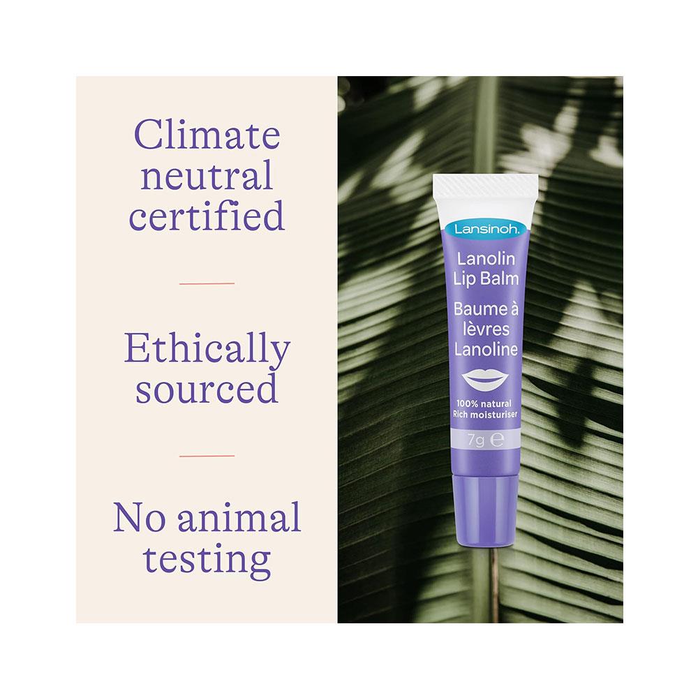 Lansinoh HPA Lanolin Lip Balm 7g Soothes & Protects Dry & Cracked Lips Actively Moisturises - Clear