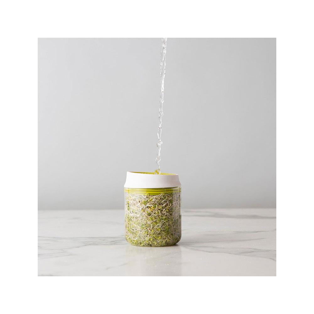 Chef'n Countertop Sprouter Growing Kit Glass Jar In Gift Box - White