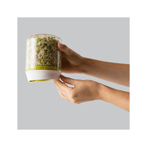 Chef'n Countertop Sprouter Growing Kit Glass Jar In Gift Box - White