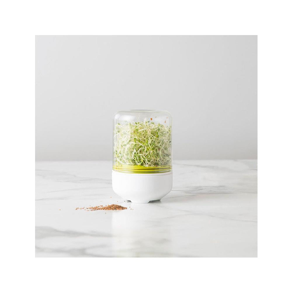 Chef'n Countertop Sprouter Growing Kit Glass Jar In Gift Box - White