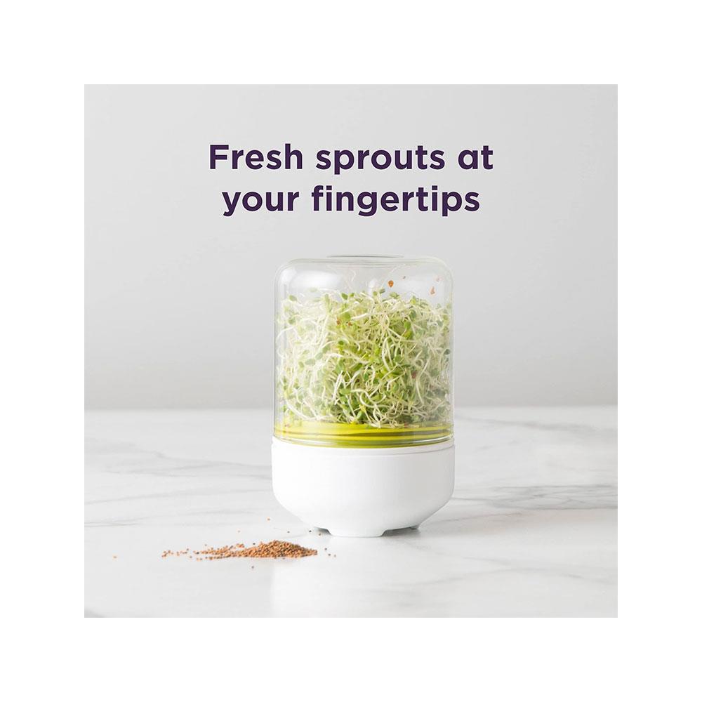 Chef'n Countertop Sprouter Growing Kit Glass Jar In Gift Box - White
