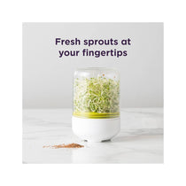 Chef'n Countertop Sprouter Growing Kit Glass Jar In Gift Box - White