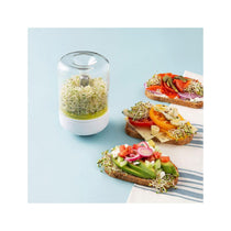 Chef'n Countertop Sprouter Growing Kit Glass Jar In Gift Box - White