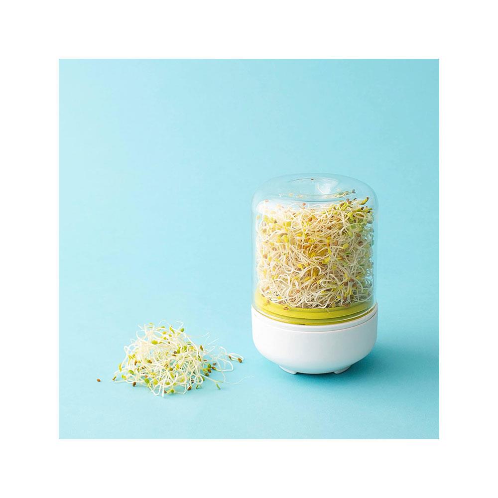 Chef'n Countertop Sprouter Growing Kit Glass Jar In Gift Box - White
