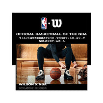 Wilson NBA Team Tribute Basketball Size 7 - LA Lakers