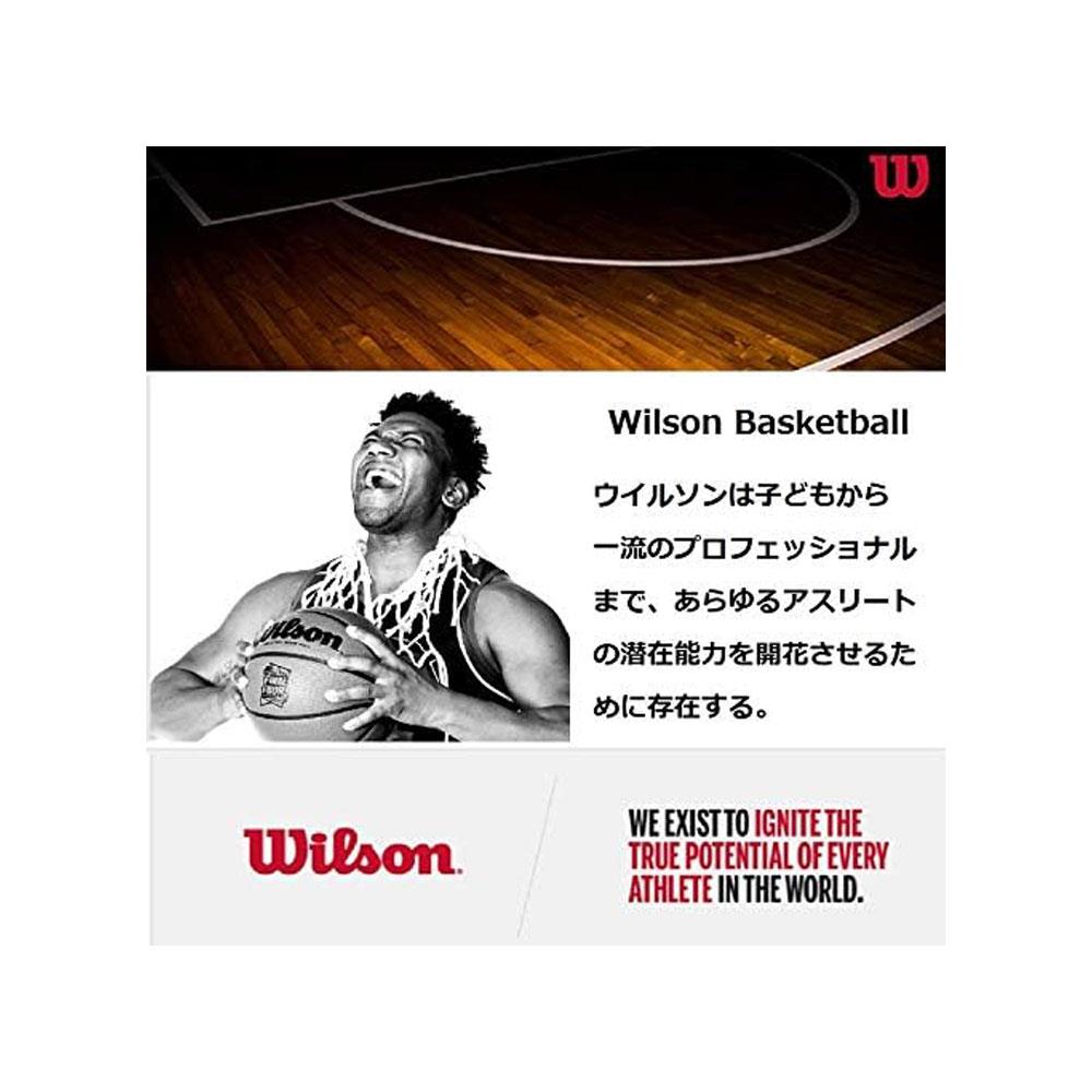 Wilson NBA Tribute All Team Basketball Ball Size 7 - Red/White/Blue