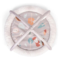 Red Kite Play Gym Padded Play Gym With Hanging Toys & Tummy Time Mirror - Woodland Walks