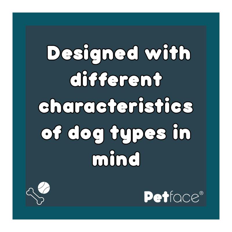 Petface Spot Dog Collar Medium Ocra Bold