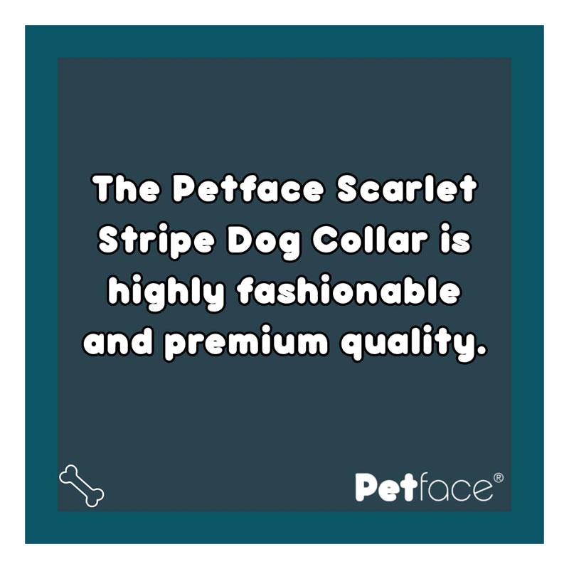 Petface Scarlet Stripe Pattern Dog Collar Medium Red Secondary image