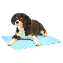 Petface Cool And Fresh Cooling Dog Mat 40 x 50cm Blue