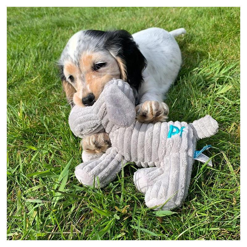 Petface Little Freddi Cord Plush Puppy Dog Toy Grey