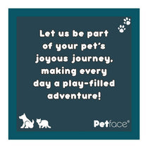 Petface Foodie Faces Latex Pea Pod Dog Toy Small