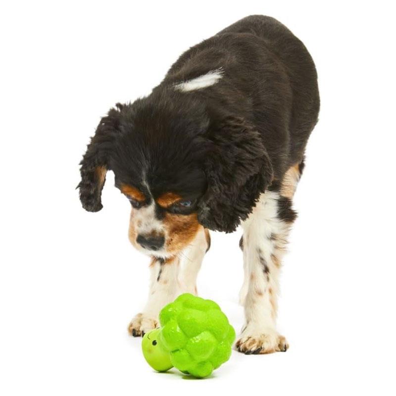 Petface Foodie Faces Latex Broccoli Dog Toy Small
