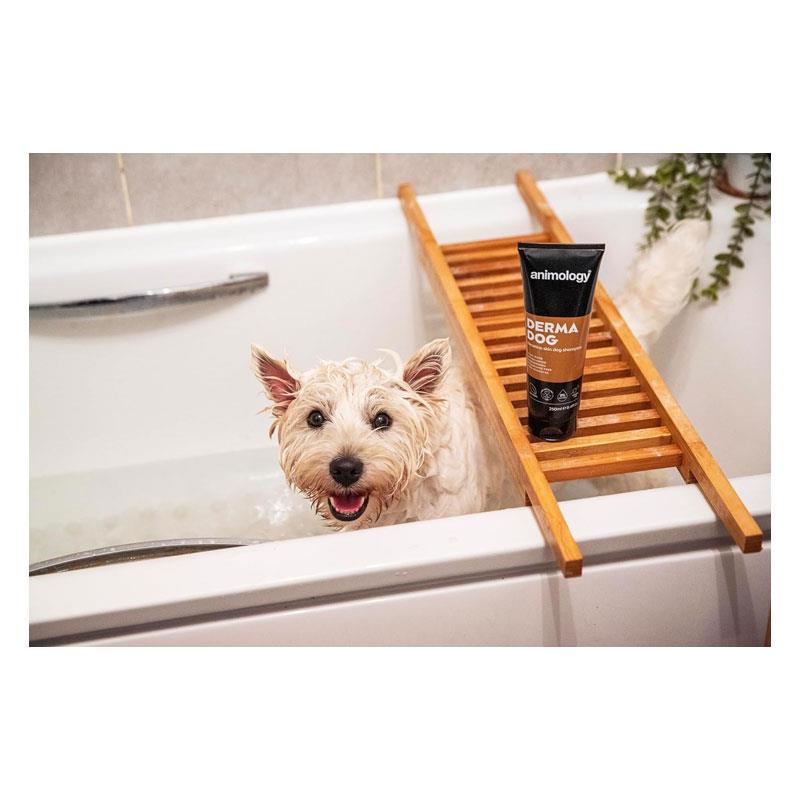 Animology Derma Dog Shampoo 250ml Secondary image