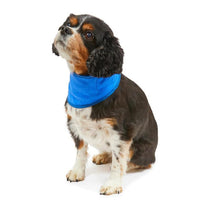 Petface Cooling Summer Pet Bandana Medium Blue