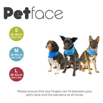 Petface Cooling Summer Pet Bandana Medium Blue