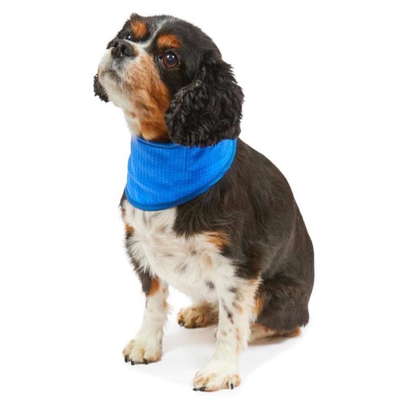 Petface Cooling Summer Pet Bandana Small Blue Secondary image