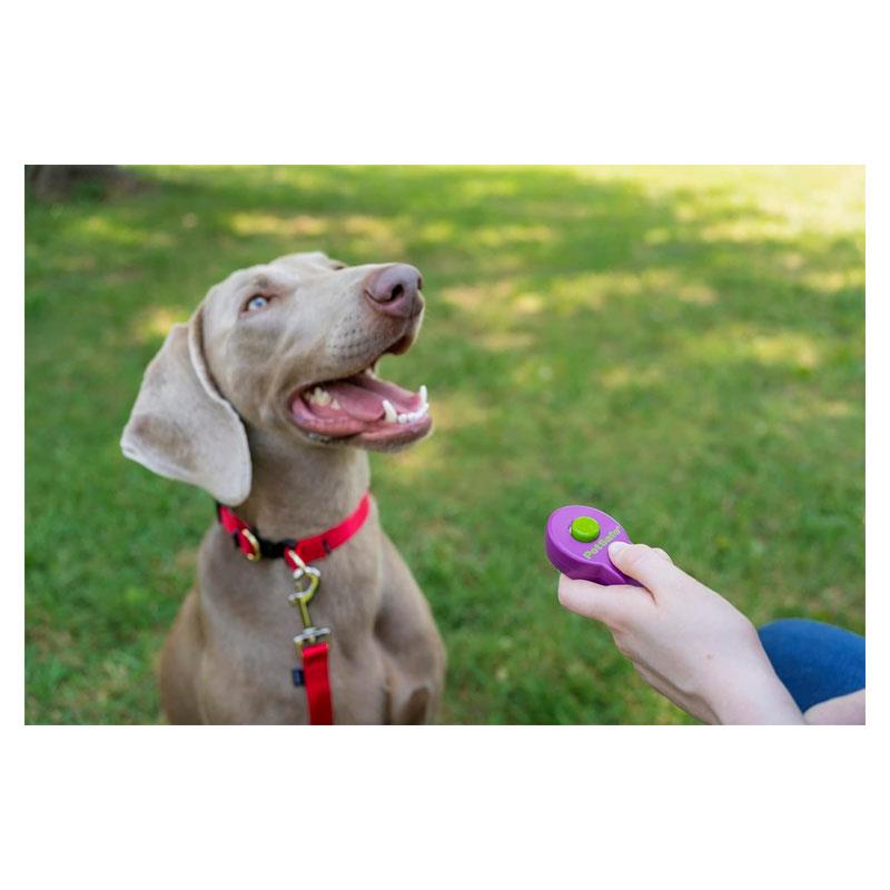 PetSafe Clik-R Training Tool Training Clicker For Dogs Purple Secondary image