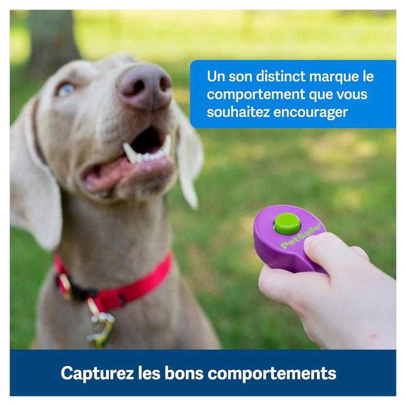 PetSafe Clik-R Training Tool Training Clicker For Dogs Purple