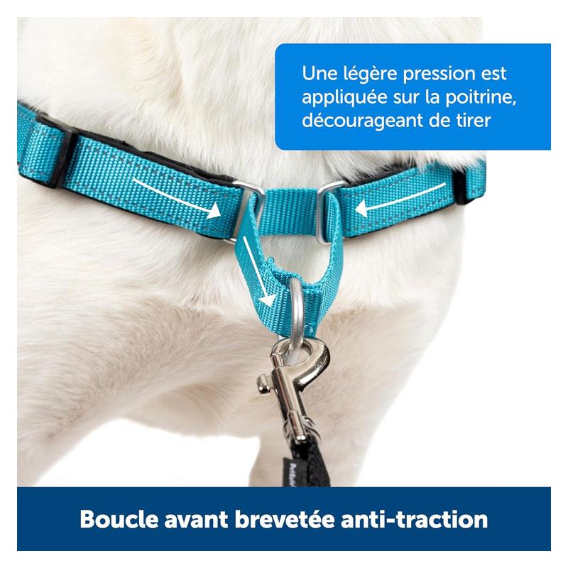 PetSafe Easy Walk Deluxe Harness For Dogs 1.8m Lead Large Ocean Blue