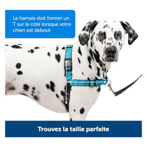 PetSafe Easy Walk Deluxe Harness For Dogs 1.8m Lead Large Ocean Blue