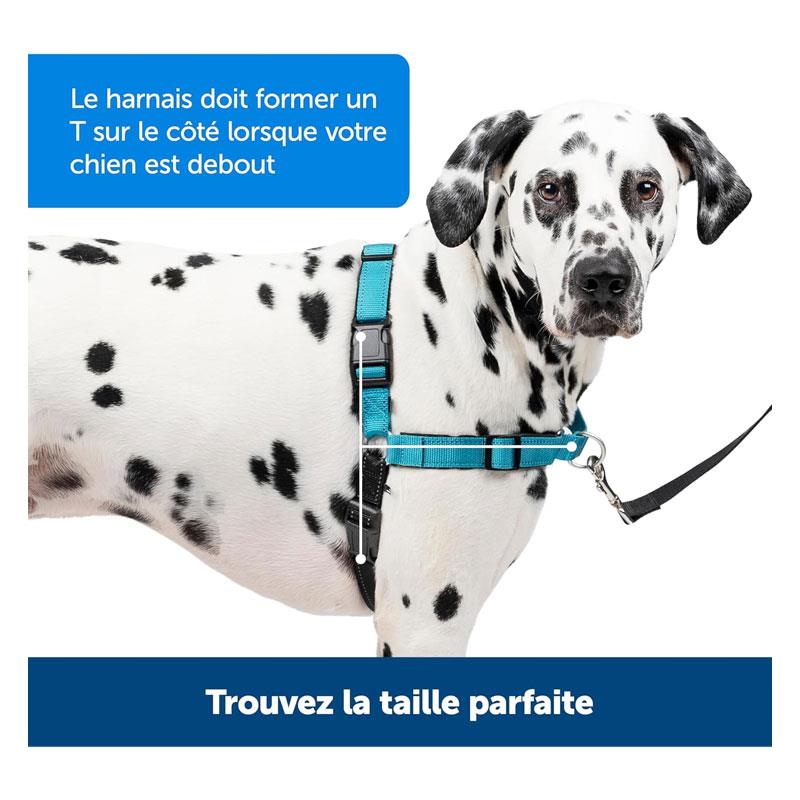 PetSafe Easy Walk Deluxe Harness For Dogs 1.8m Lead Large Ocean Blue