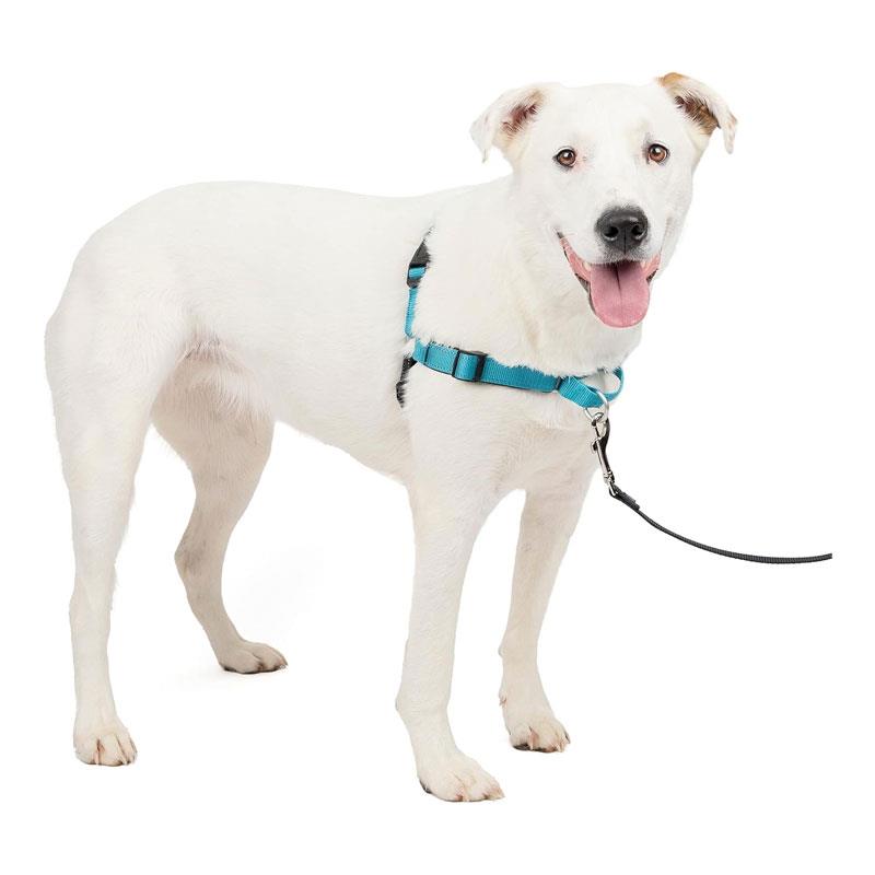 PetSafe Easy Walk Deluxe Harness For Dogs 1.8m Lead Medium/Large Ocean Blue