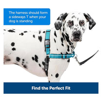PetSafe Easy Walk Deluxe Harness For Dogs 1.8m Lead Medium/Large Ocean Blue