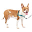 PetSafe Easy Walk Deluxe Harness For Dogs 1.8m Lead Medium Ocean Blue