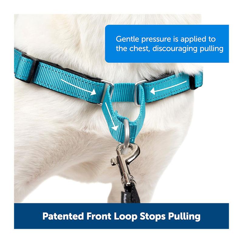 PetSafe Easy Walk Deluxe Harness For Dogs 1.8m Lead Medium Ocean Blue Secondary image