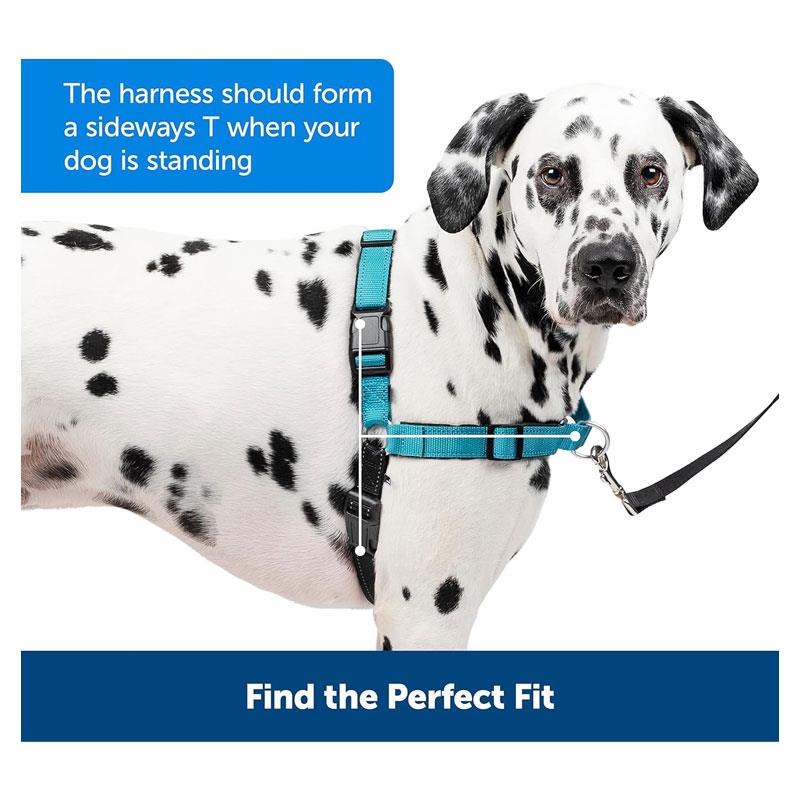 PetSafe Easy Walk Deluxe Harness For Dogs 1.8m Lead Medium Ocean Blue