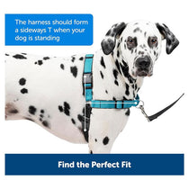 PetSafe Easy Walk Deluxe Harness For Dogs 1.8m Lead Medium Ocean Blue