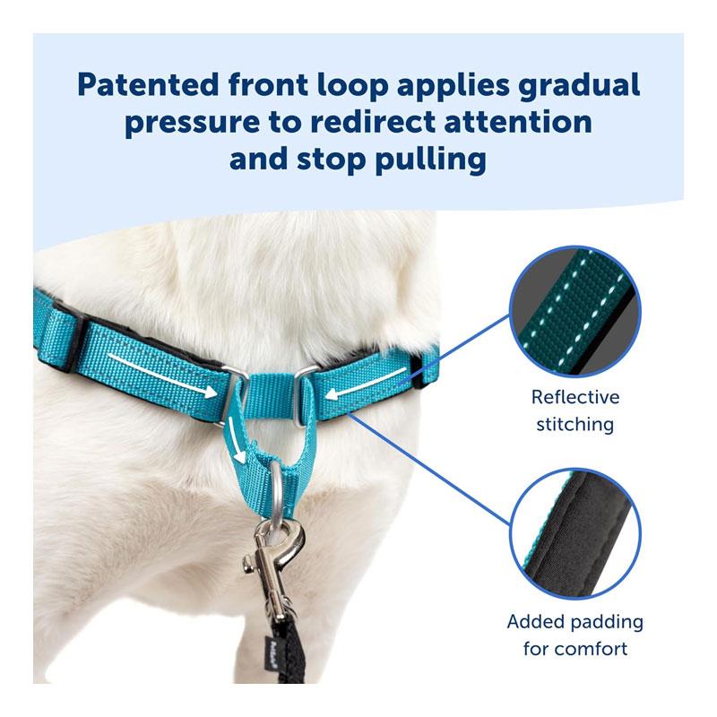 PetSafe Easy Walk Deluxe Harness For Dogs 1.8m Lead Small Ocean Blue