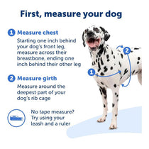 PetSafe Easy Walk Deluxe Harness For Dogs 1.8m Lead Small Ocean Blue
