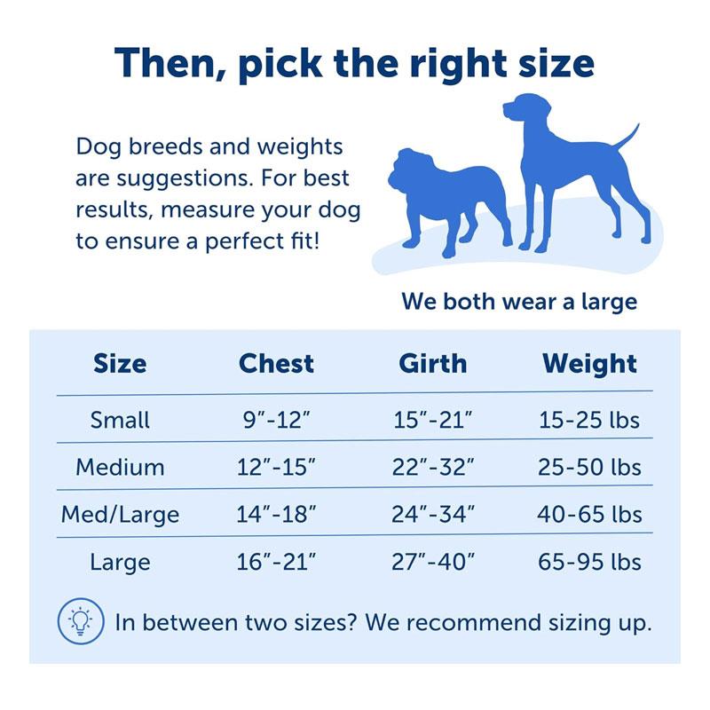 PetSafe Easy Walk Deluxe Harness For Dogs 1.8m Lead Small Ocean Blue