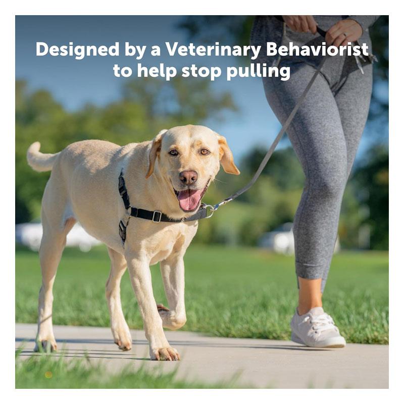 PetSafe Easy Walk Harness For Dogs Snap 1.8m Lead Medium Black Secondary image