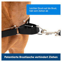 PetSafe Easy Walk Harness For Dogs Snap 1.8m Lead Medium Black