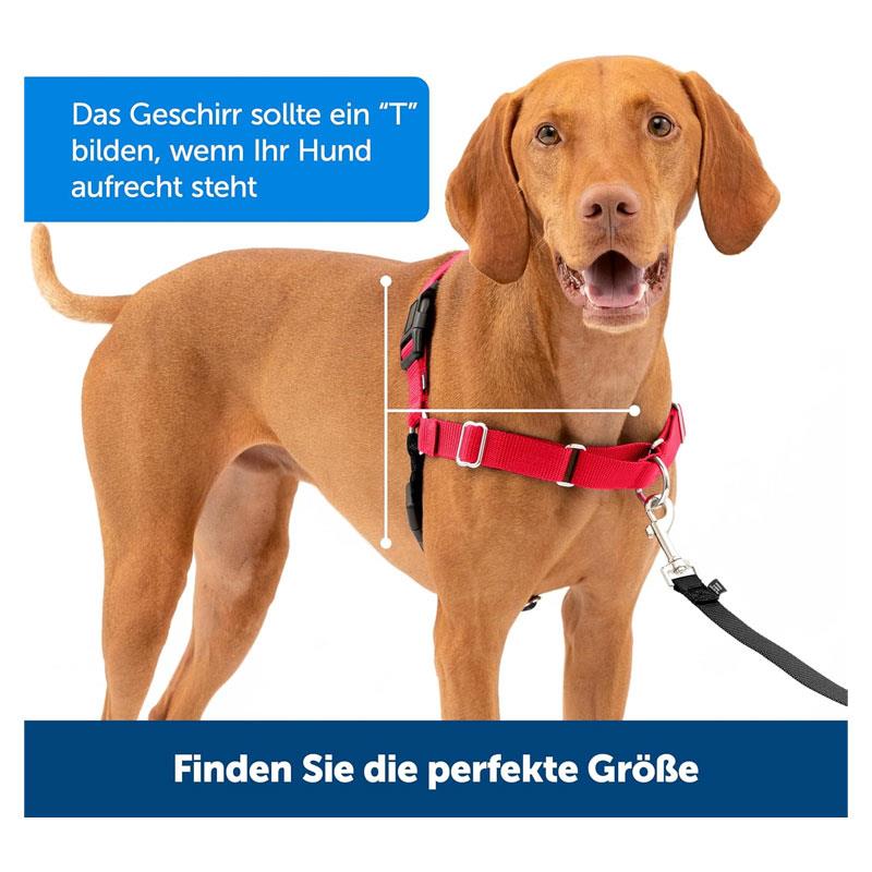 PetSafe Easy Walk Harness For Dogs Snap 1.8m Lead Medium Black